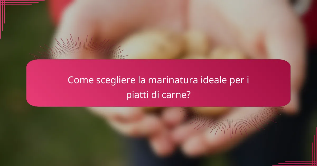 Come scegliere la marinatura ideale per i piatti di carne?